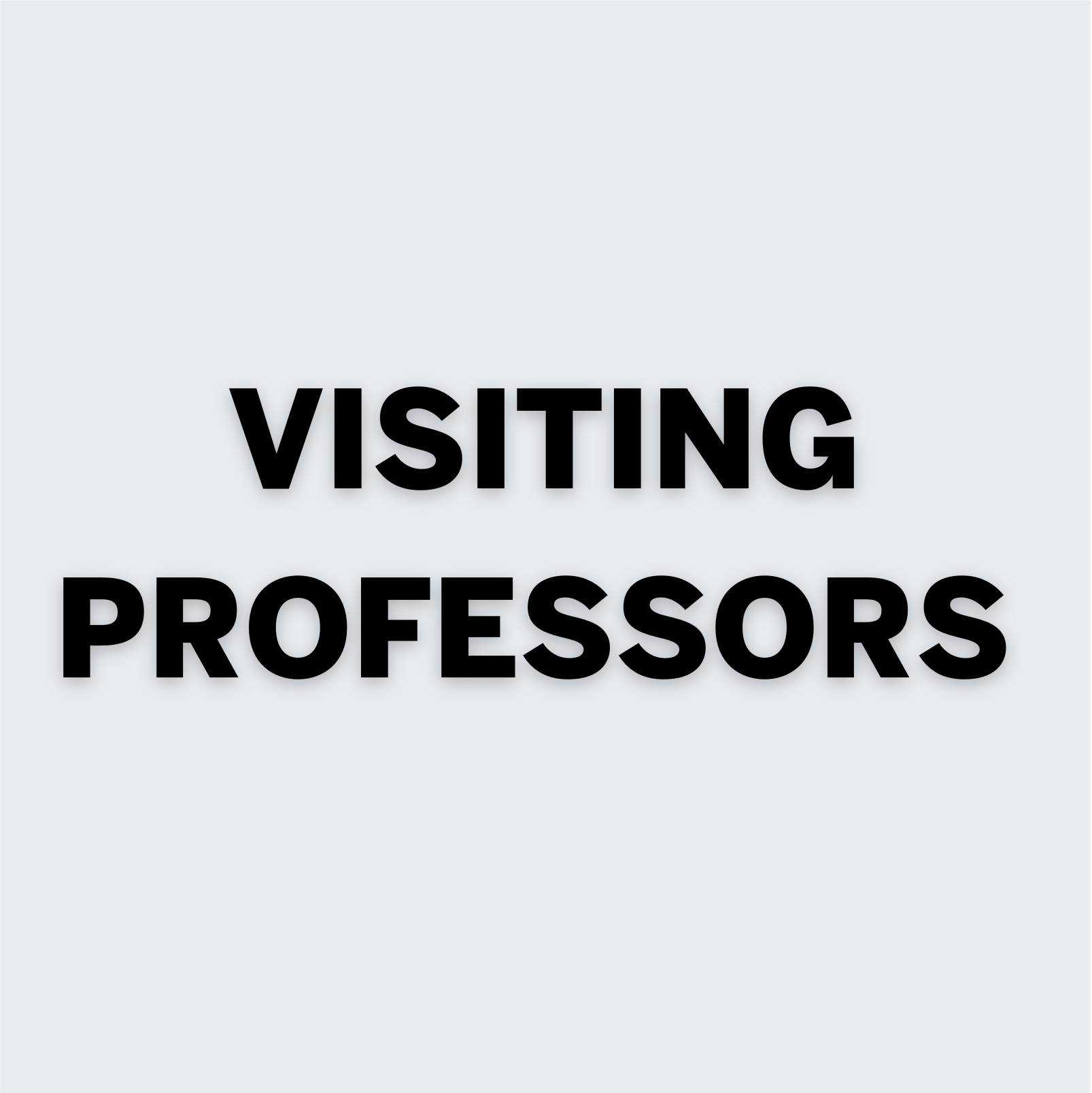 Visiting Professors